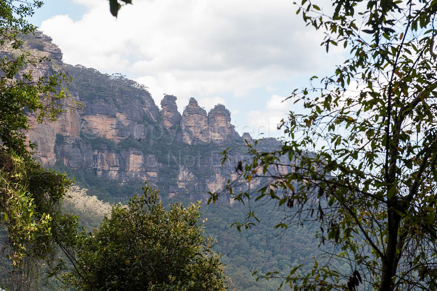 Blue Mountains New South Wales