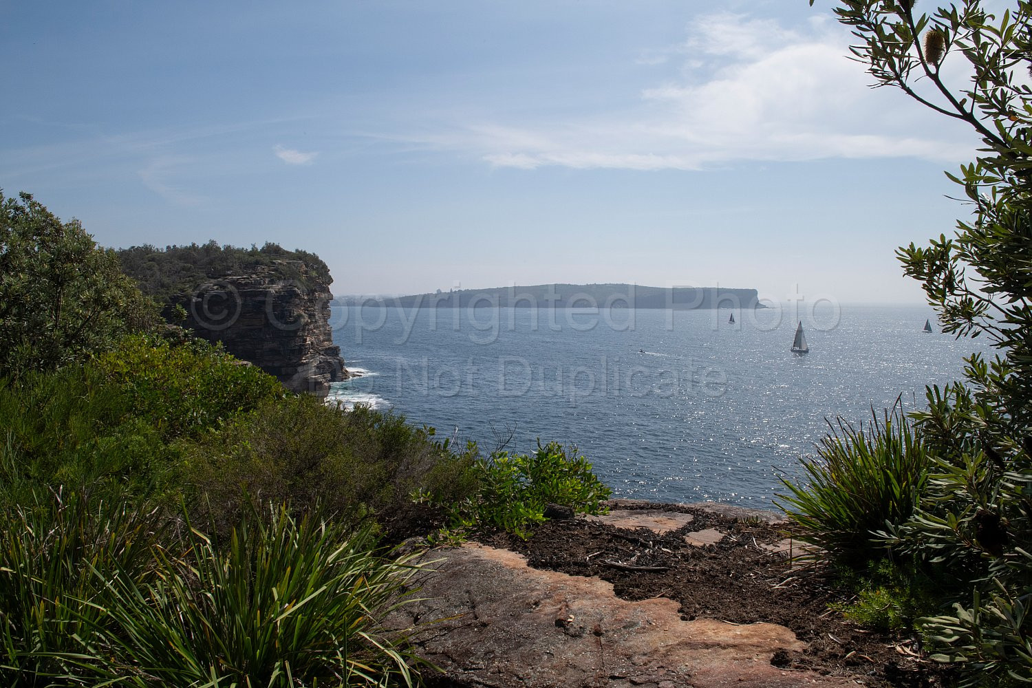 Sydney Heads