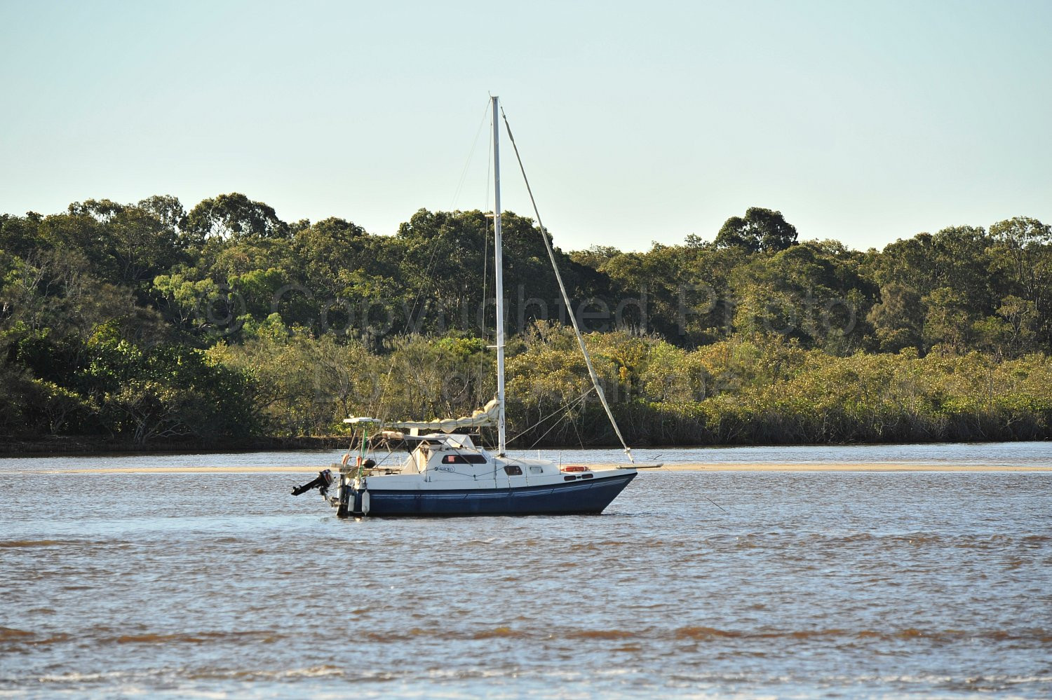Noosa river