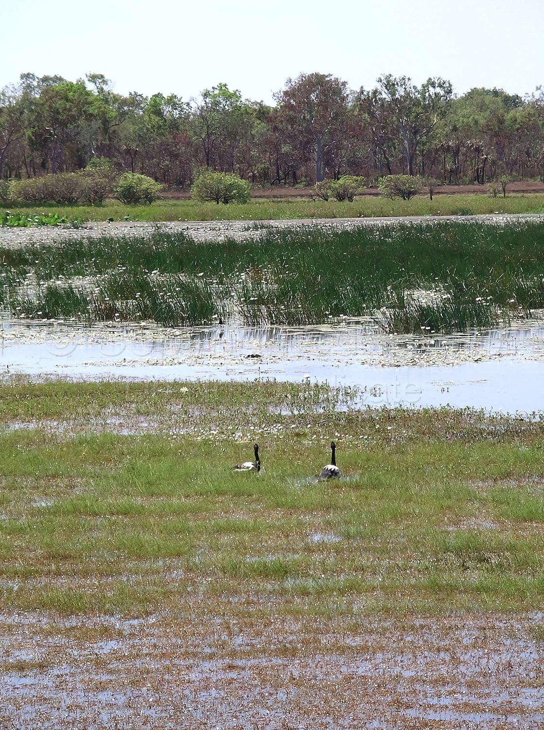 Kakadu Northern Territory