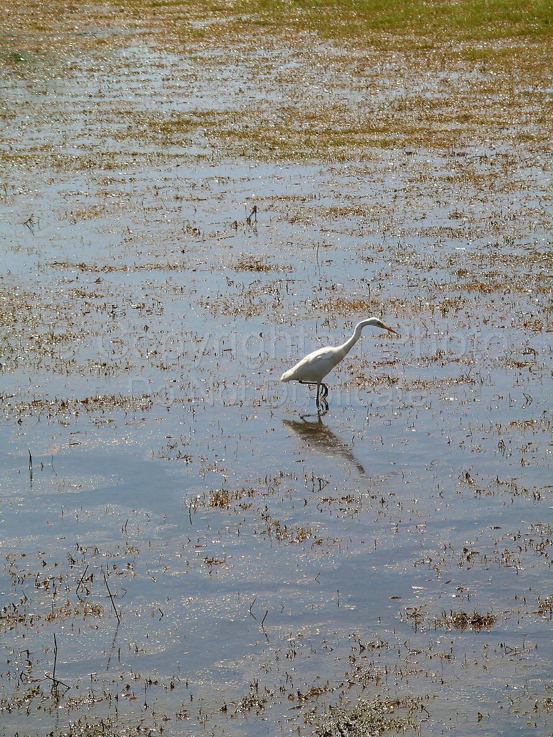 Kakadu Northern Territory