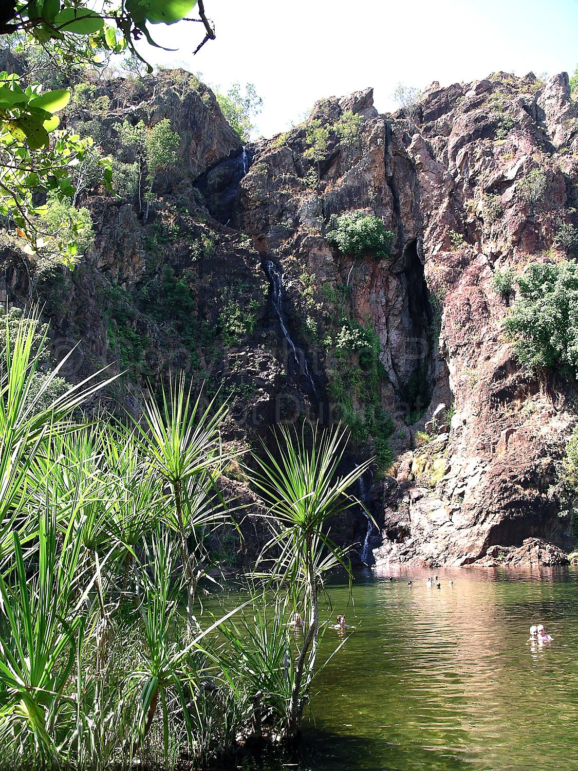 Waterfall Northern Territory