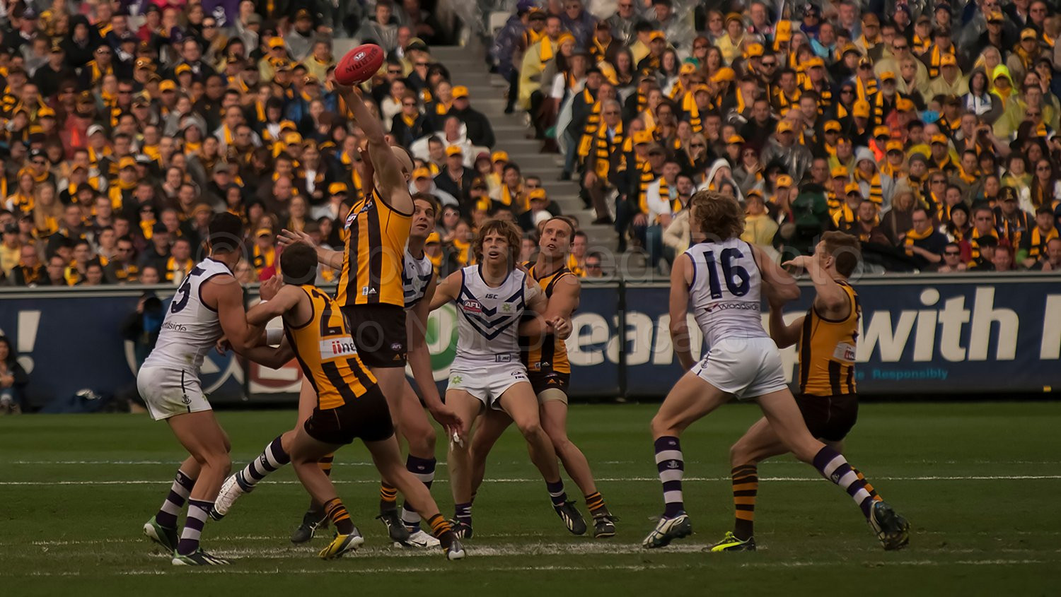 AFL Grand Final 2013