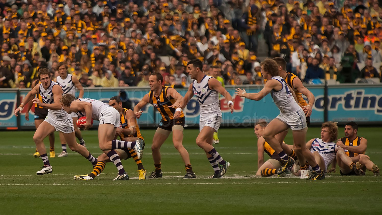 AFL Grand Final 2013
