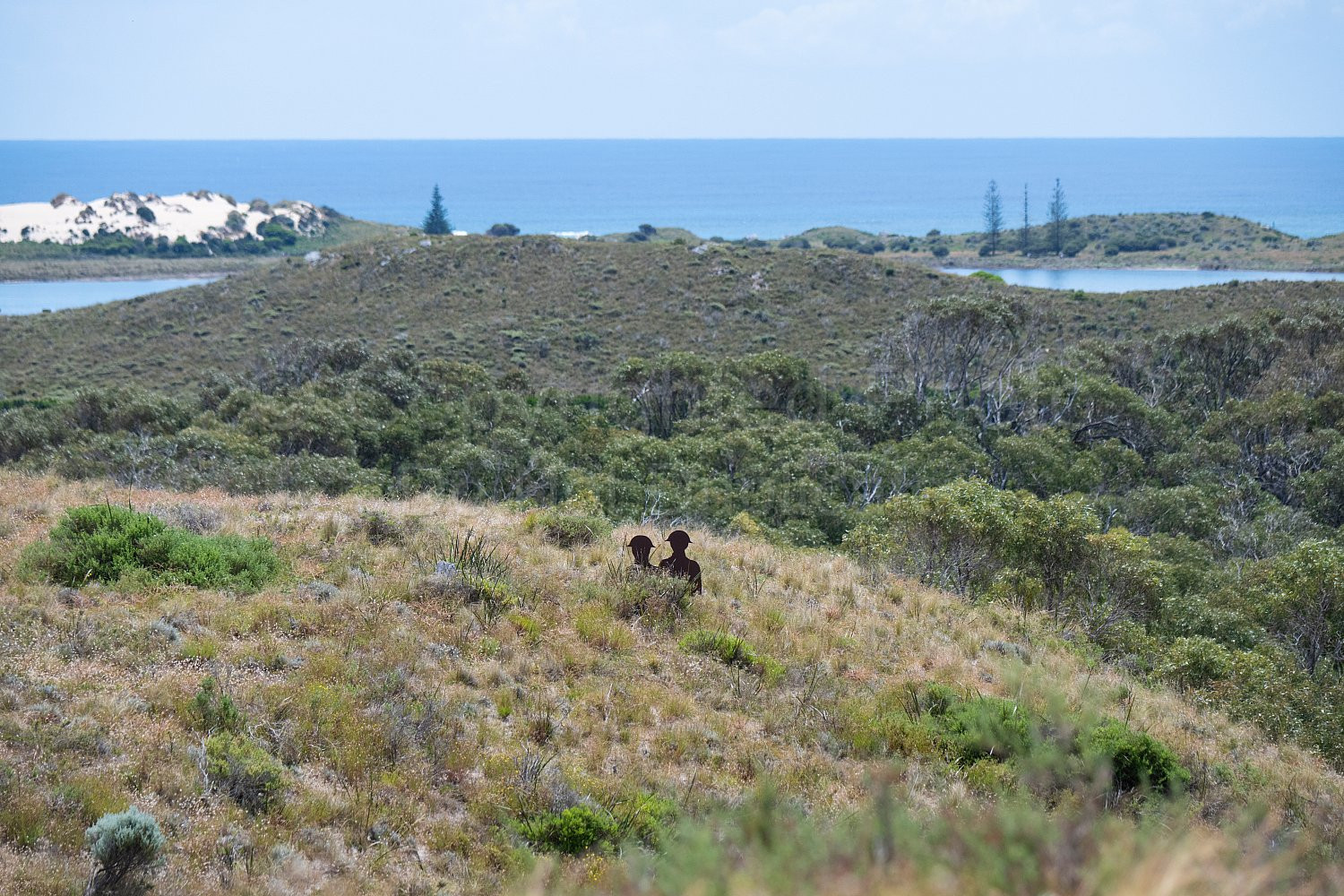 Rottnest Island