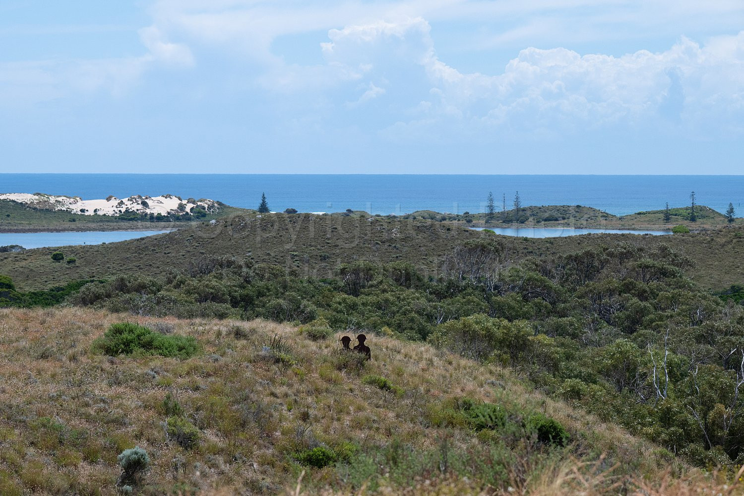 Rottnest Island