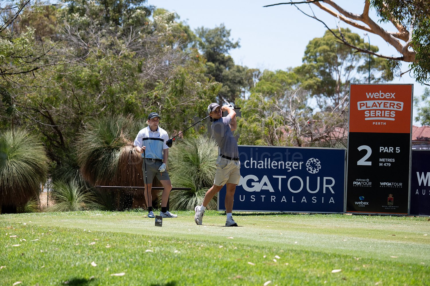 Webex Players Series Golf 2026