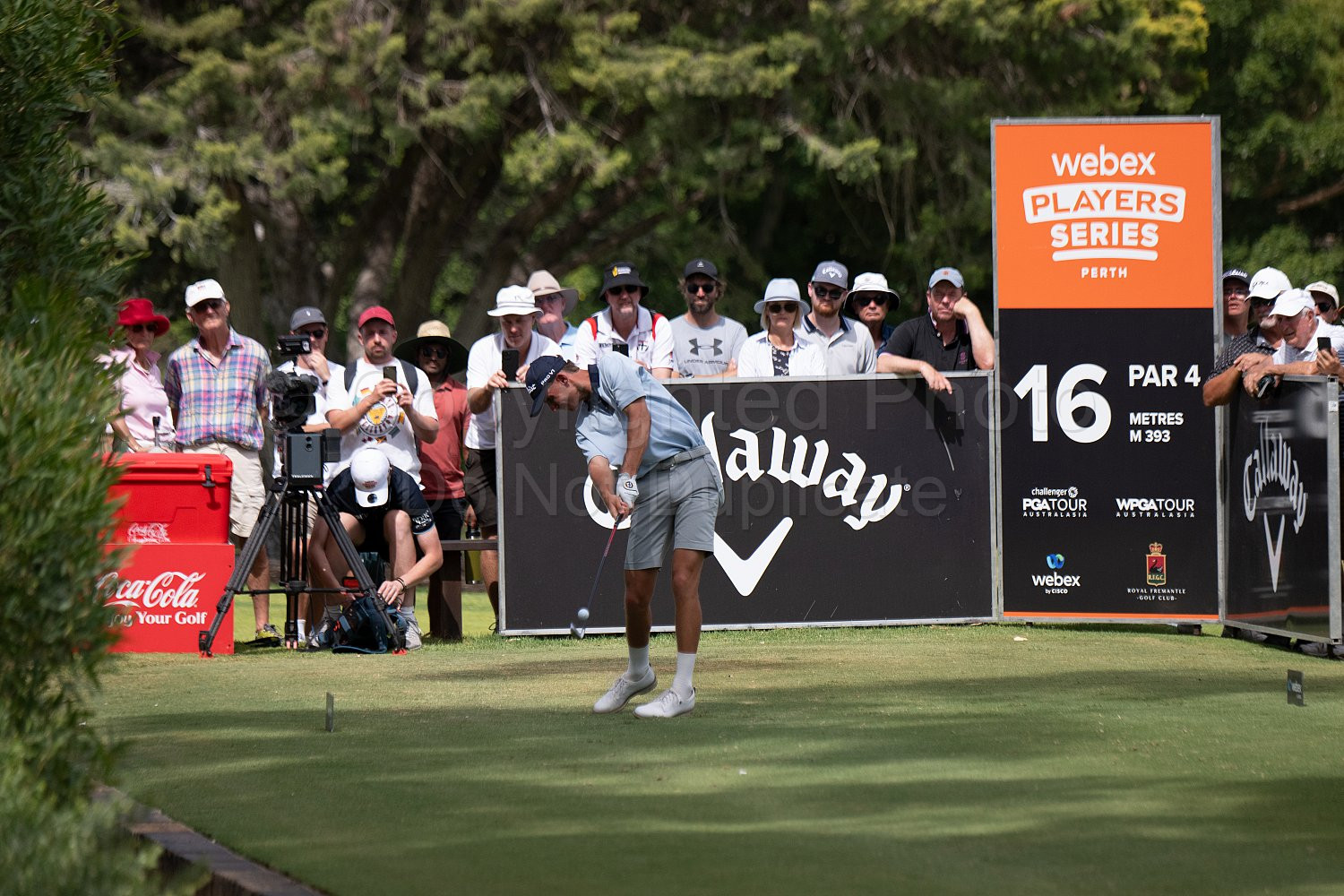 Webex Players Series Golf 2026