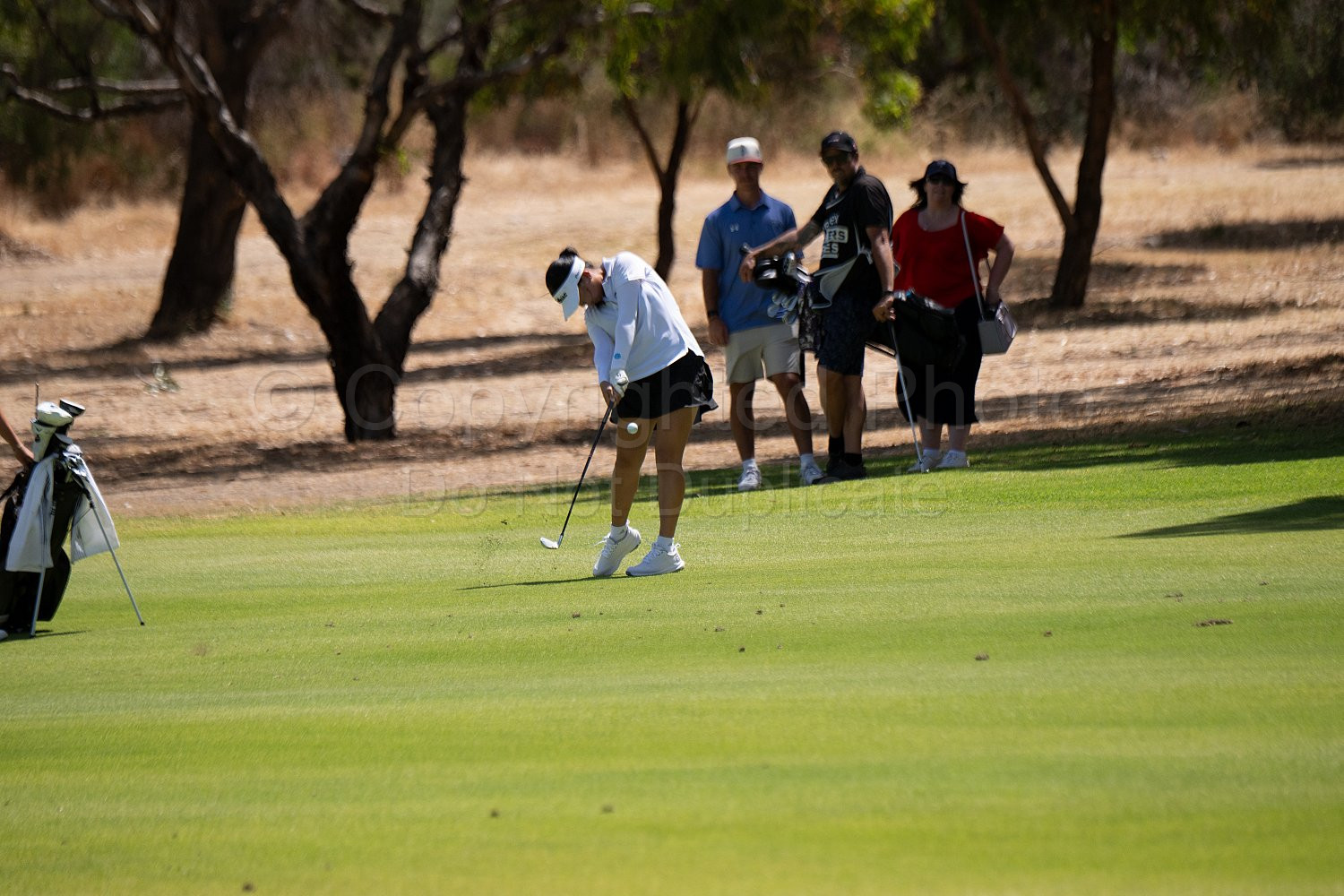 Webex Players Series Golf 2026