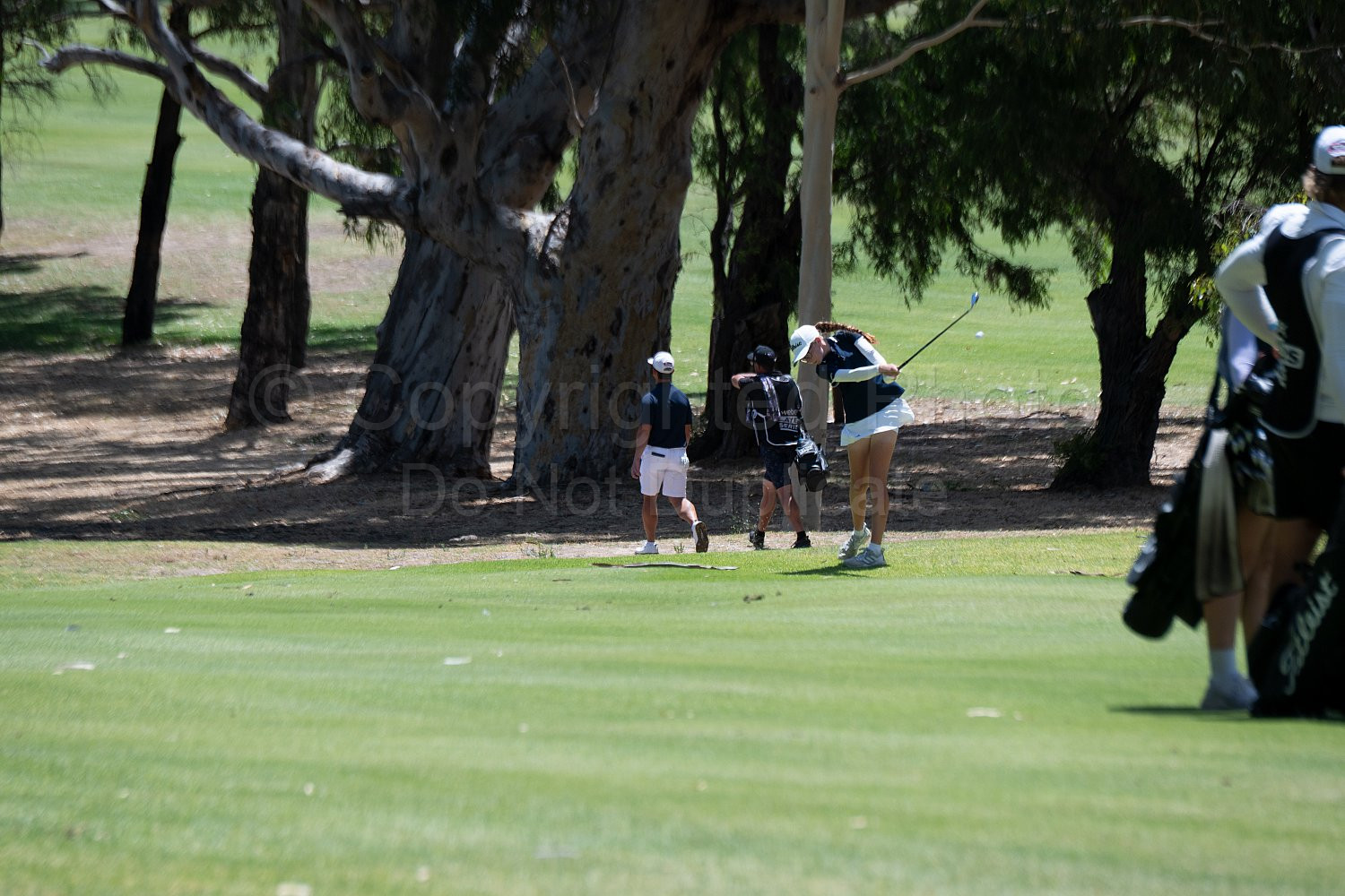 Webex Players Series Golf 2026