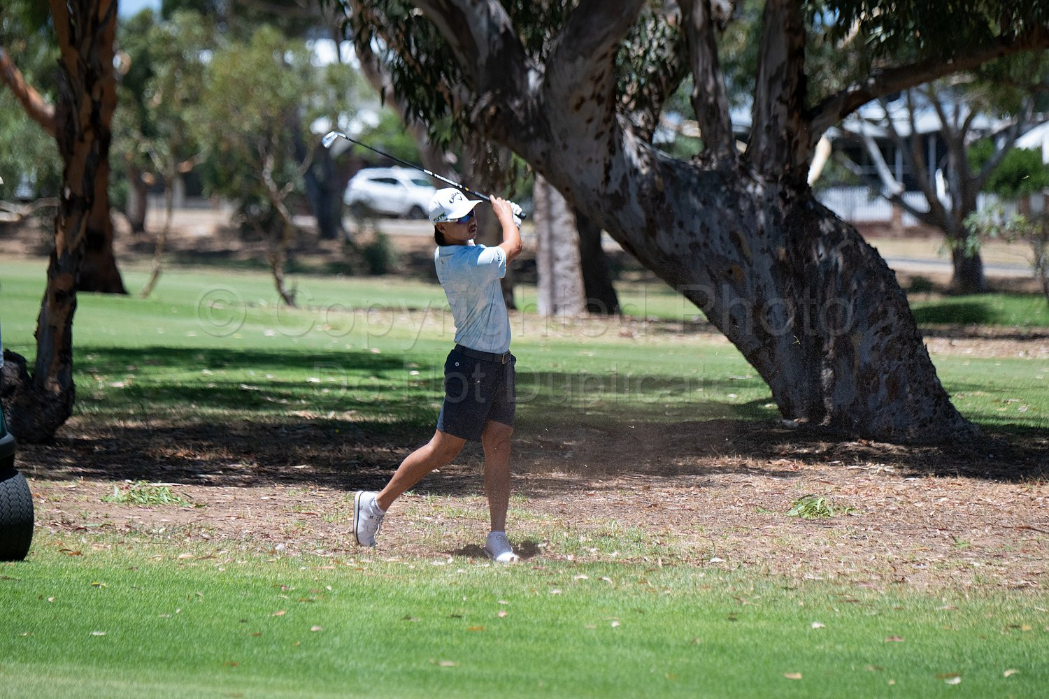 Webex Players Series Golf 2026