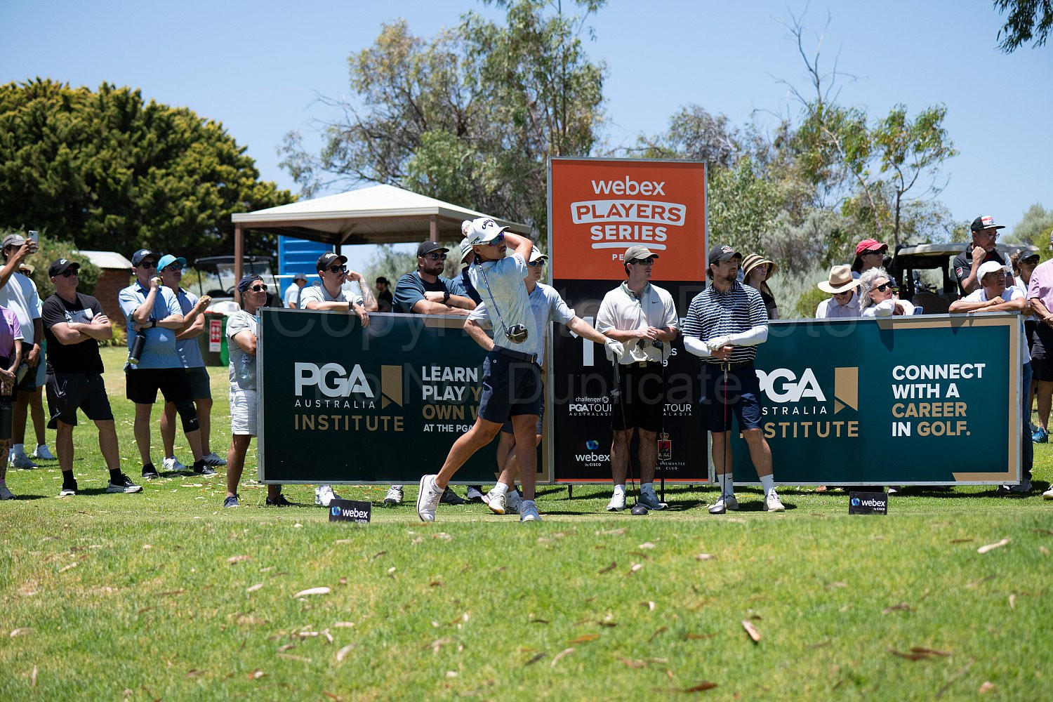 Webex Players Series Golf 2026