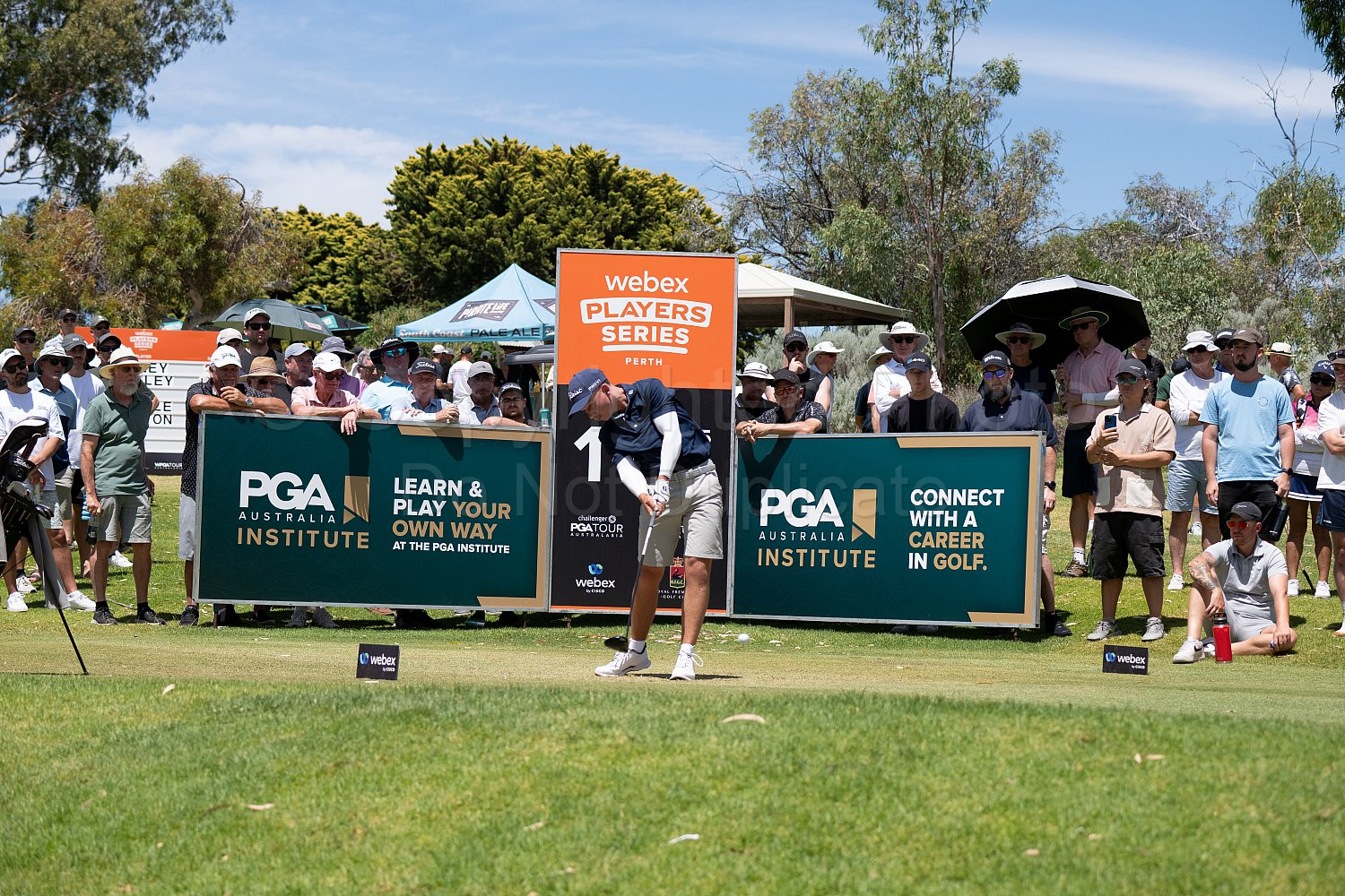 Webex Players Series Golf 2026