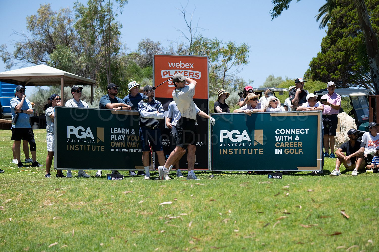 Webex Players Series Golf 2026