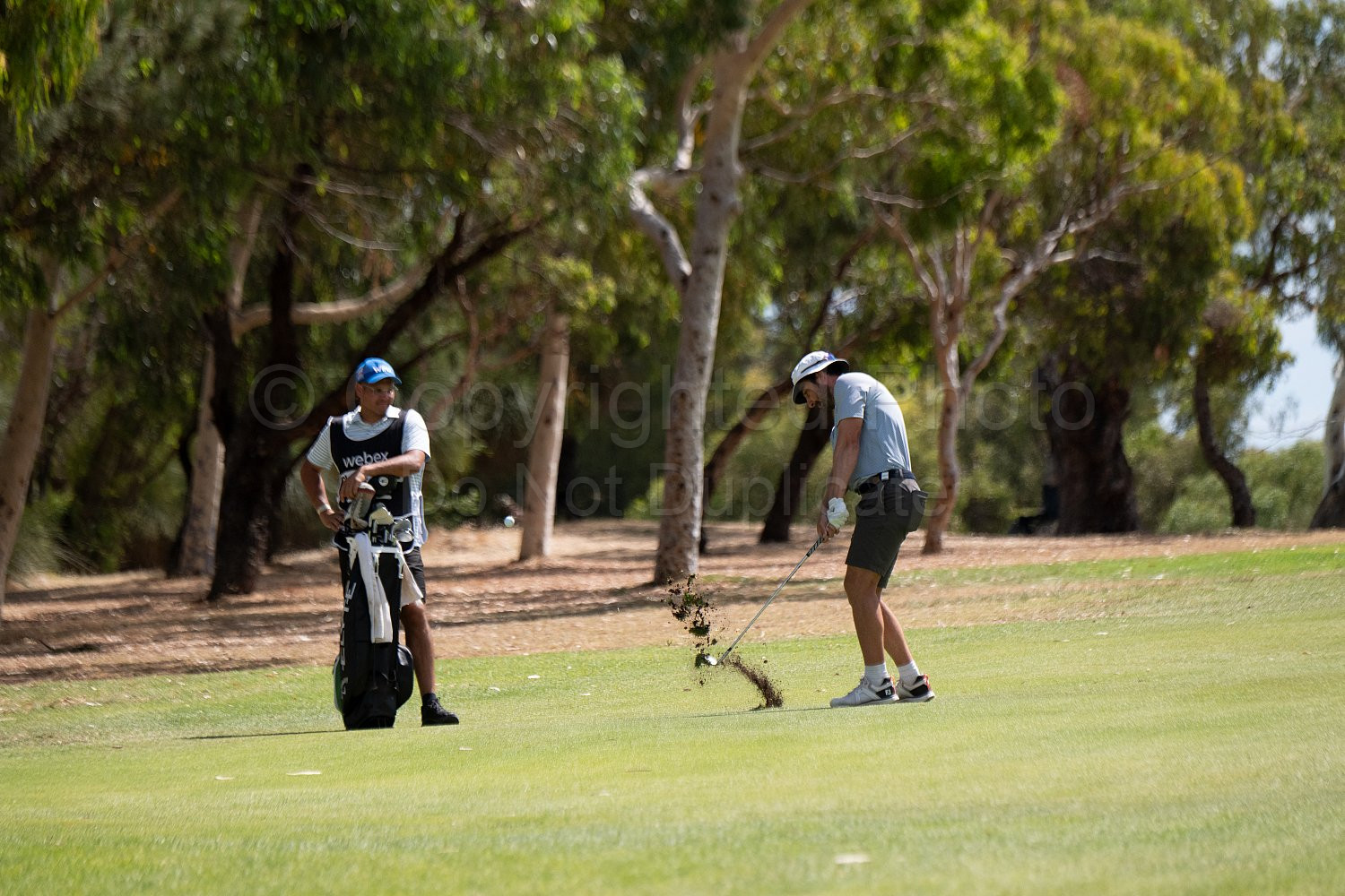 Webex Players Series Golf 2026