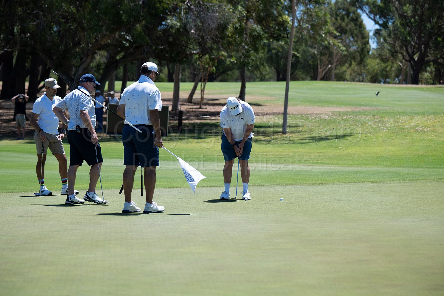 Webex Players Series Golf 2026