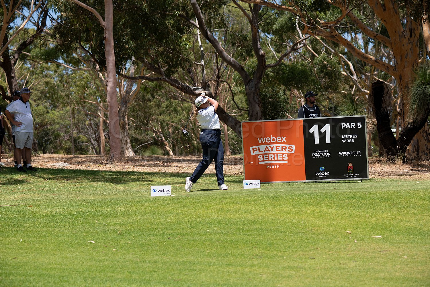 Webex Players Series Golf 2026