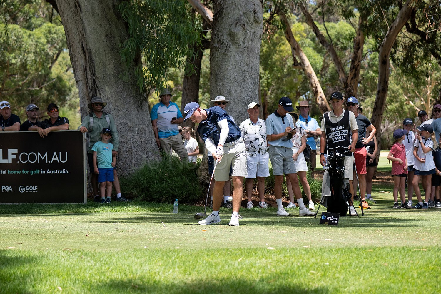 Webex Players Series Golf 2026