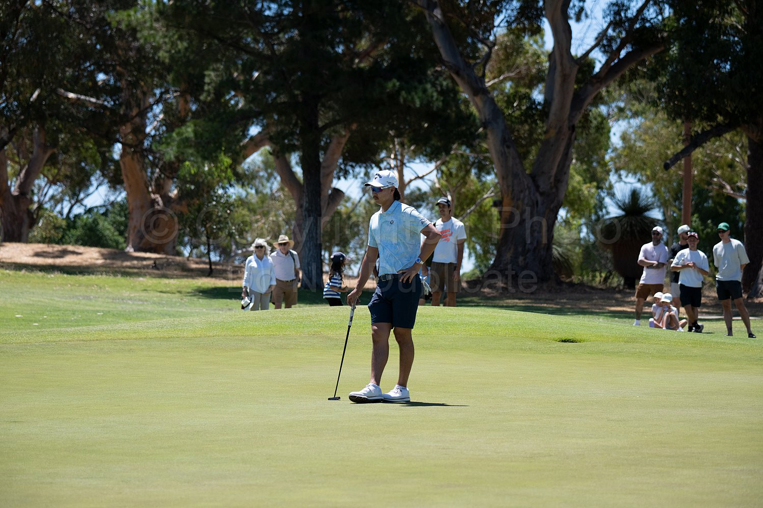 Webex Players Series Golf 2026