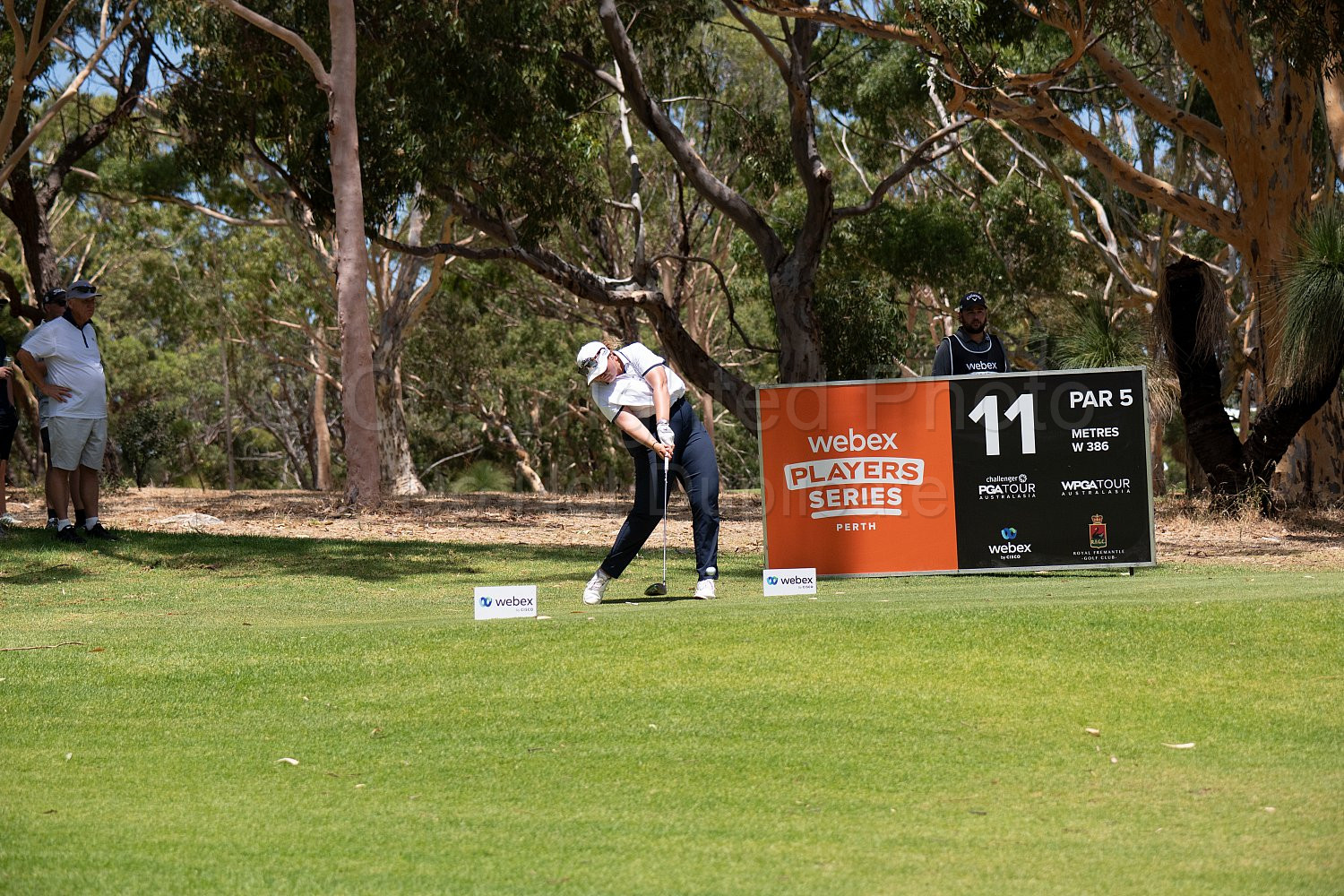 Webex Players Series Golf 2026