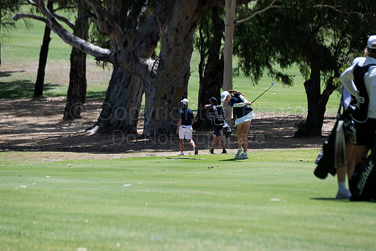 Webex Players Series Golf 2026