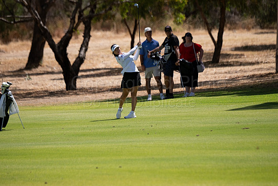 Webex Players Series Golf 2026
