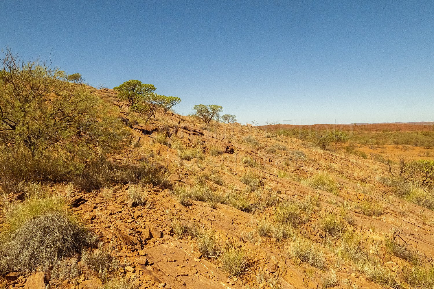 Cheela Plains Cave