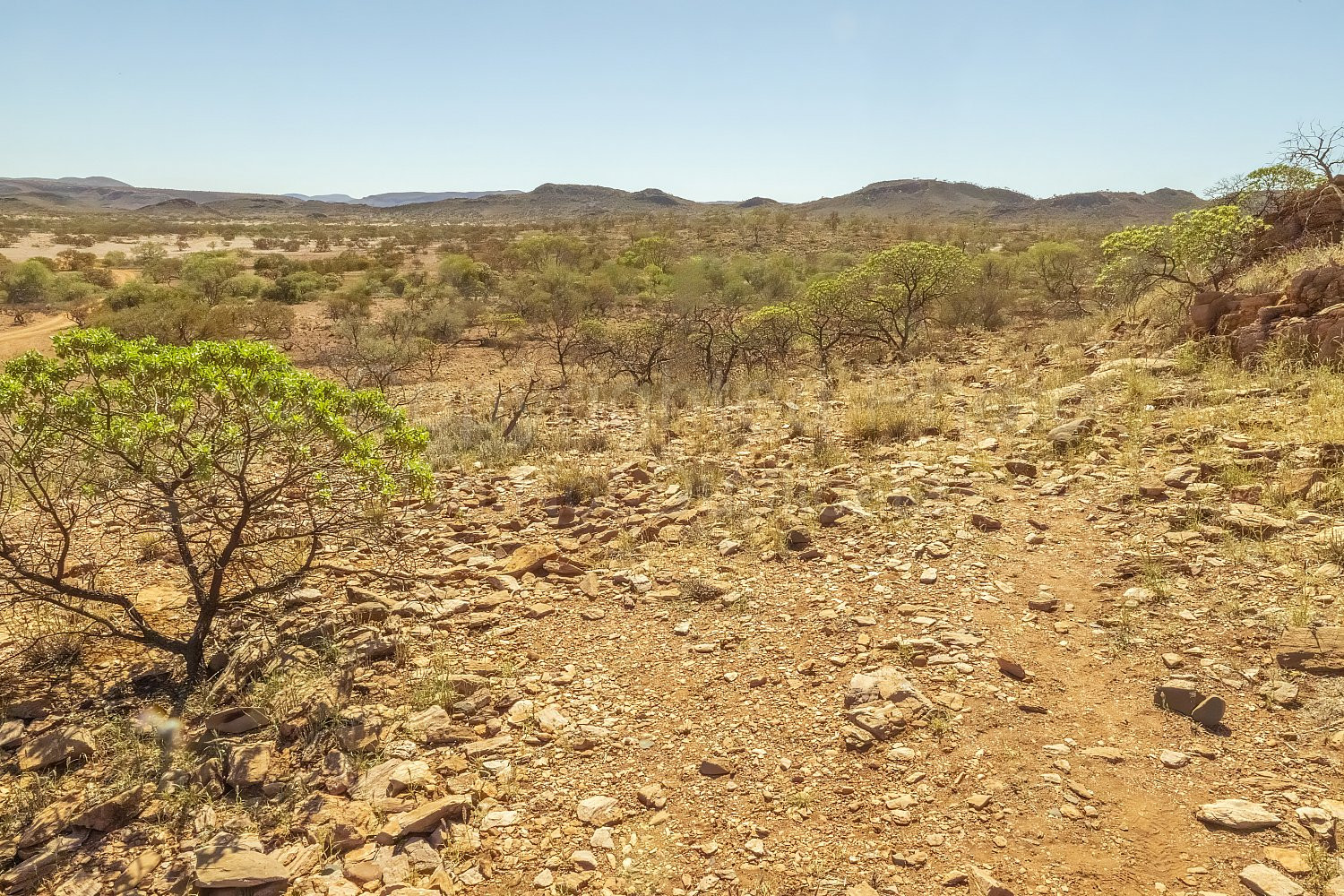Cheela Plains Cave