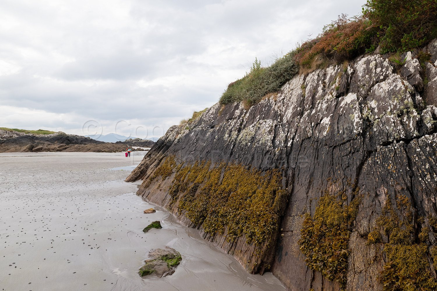 Coastline Ireland
