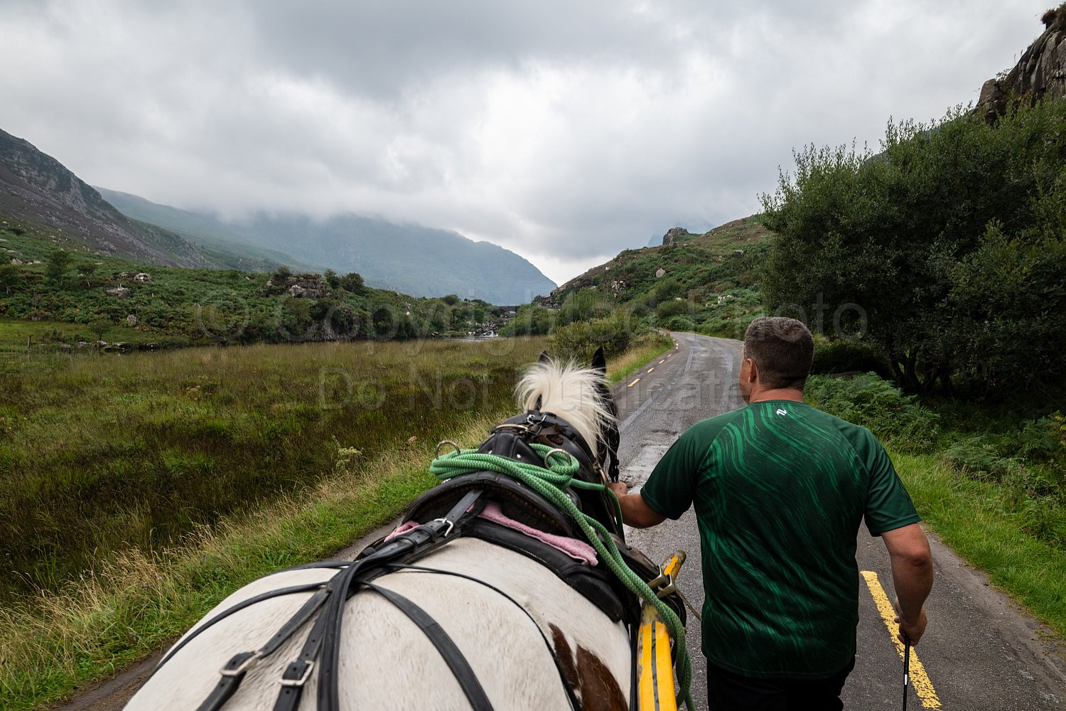 Gap of Dunloe Horse and Cart