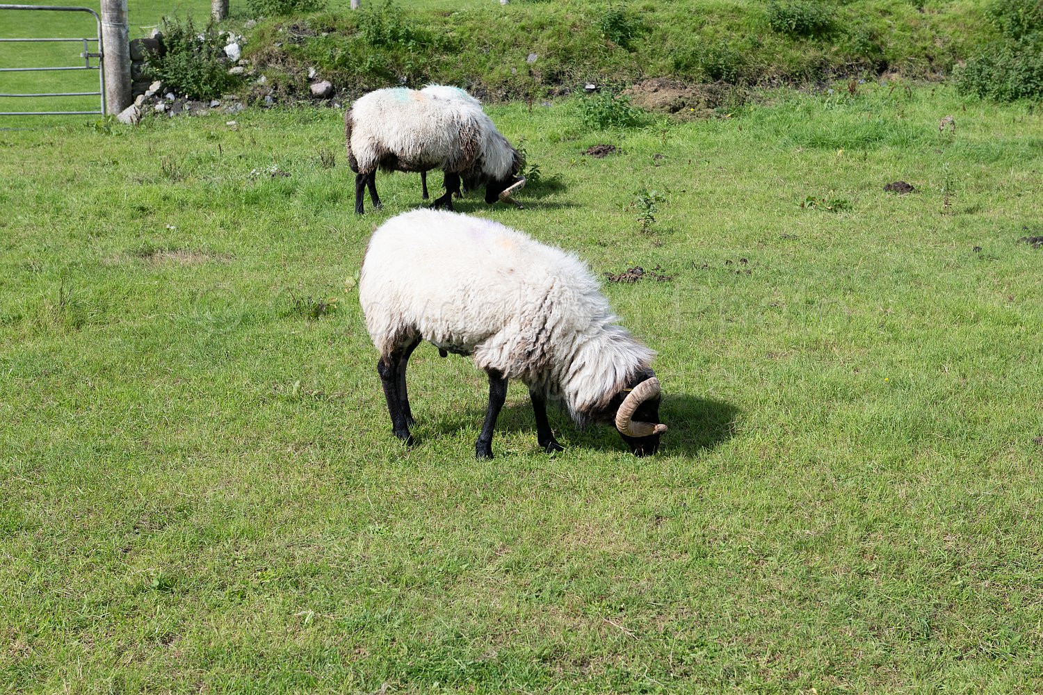 Achill Island