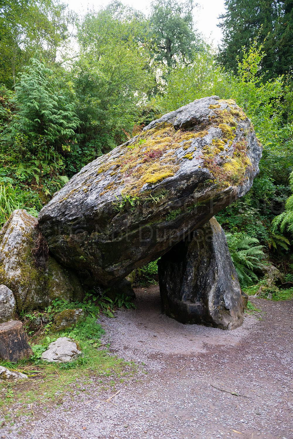 Blarney Castle Gardens
