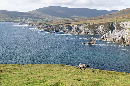 Achill Island
